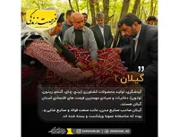 گیلان