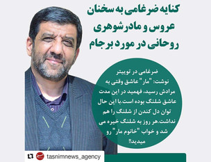 کنایه ضرغامی به سخنان عروس و مادرشوهری روحانی در مورد برجام