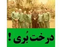 درخت بُری!