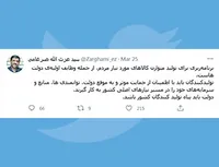 دولت باید پناه تولید کنندگان کشور باشد!