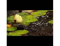 فرصت زندگی