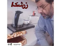 منتقد ضرغامی