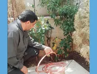 مار و شلنگ
