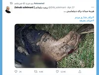 هزینه میدان برای دیپلماسی !